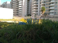 Terreno  0m² 