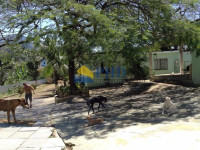 Terreno  30000m² 