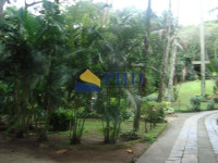 Terreno  22000m² 
