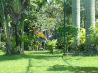 Terreno  0m² 