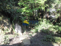 TERRENO  1310m² 