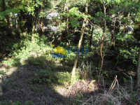 TERRENO  1310m² 