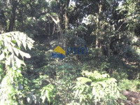 TERRENO  1310m² 