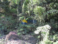 TERRENO  1310m² 
