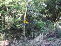TERRENO  1310m² 