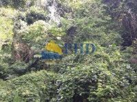 Terreno  1300m² 