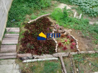 Casa 4 Quartos 340m² 
