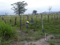 Terreno  1000m² 