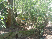 Casa 5 Quartos 450m² 