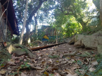 Casa 5 Quartos 450m² 