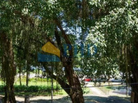 Apartamento 5 Quartos 240m² 