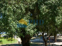 Apartamento 5 Quartos 240m² 