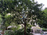 Apartamento 2 Quartos 78m² 