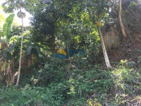 Terreno  15700m² 