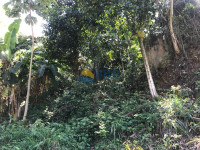 Terreno  15700m² 