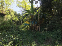 Terreno  15700m² 