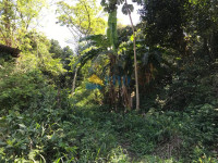 Terreno  15700m² 