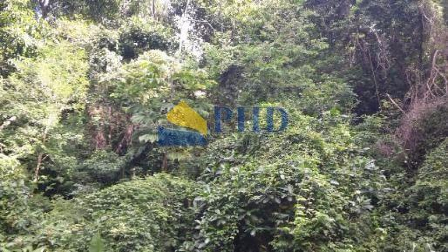 Terreno  1300m² 