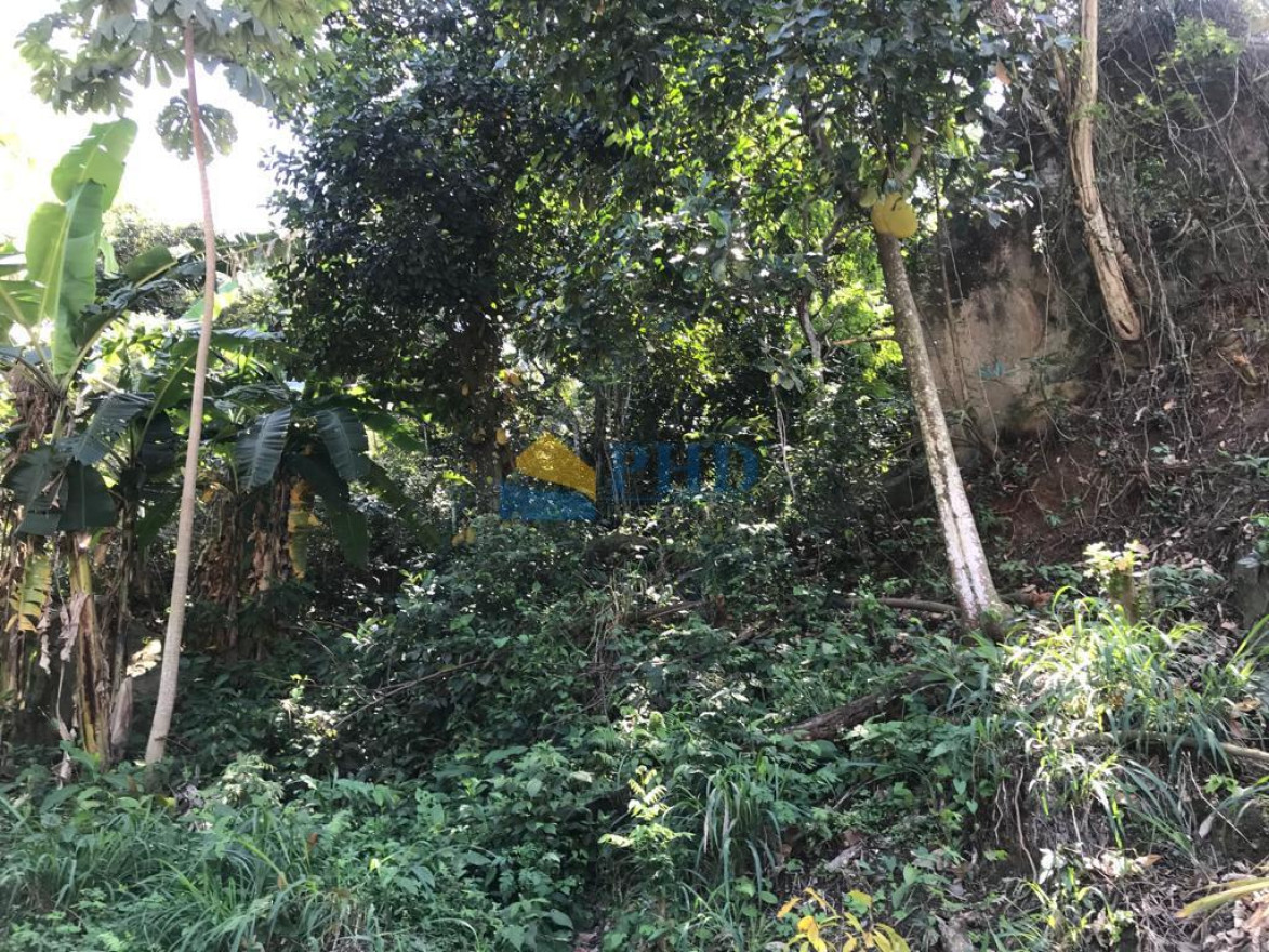 Terreno  15700m² 