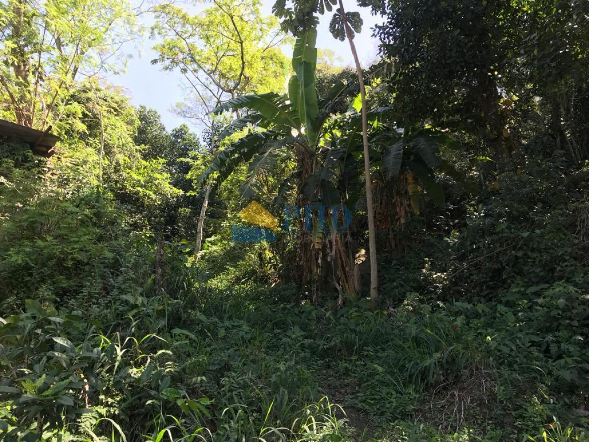 Terreno  15700m² 